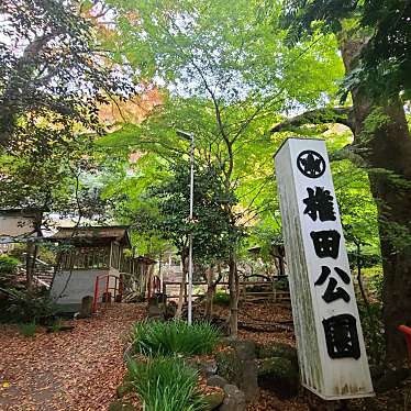 実際訪問したユーザーが直接撮影して投稿した大山公園権田公園の写真