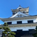 実際訪問したユーザーが直接撮影して投稿した館山城 / 城跡館山城の写真