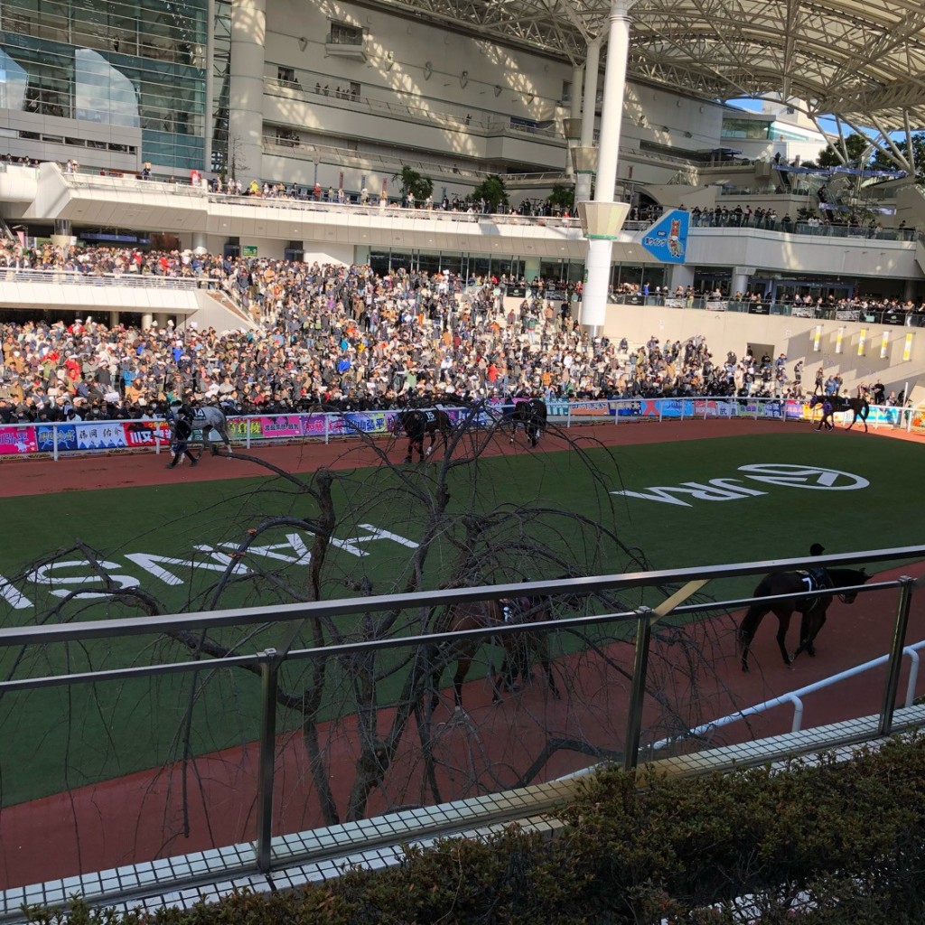 実際訪問したユーザーが直接撮影して投稿した駒の町競馬場阪神競馬場の写真