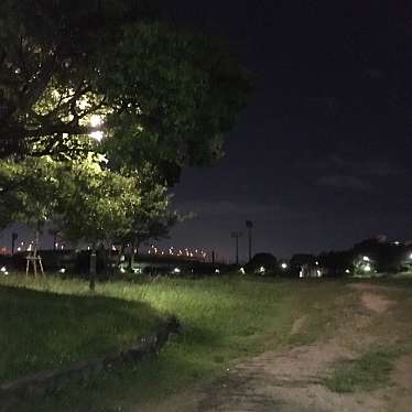 実際訪問したユーザーが直接撮影して投稿した南港東公園南港中央公園の写真