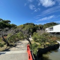 実際訪問したユーザーが直接撮影して投稿した雪ノ下湖沼 / 池平家池の写真