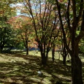 実際訪問したユーザーが直接撮影して投稿した見祢山神社土津神社の写真