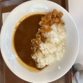 カレー - 実際訪問したユーザーが直接撮影して投稿した篠田牛丼すき家 青森西店の写真のメニュー情報