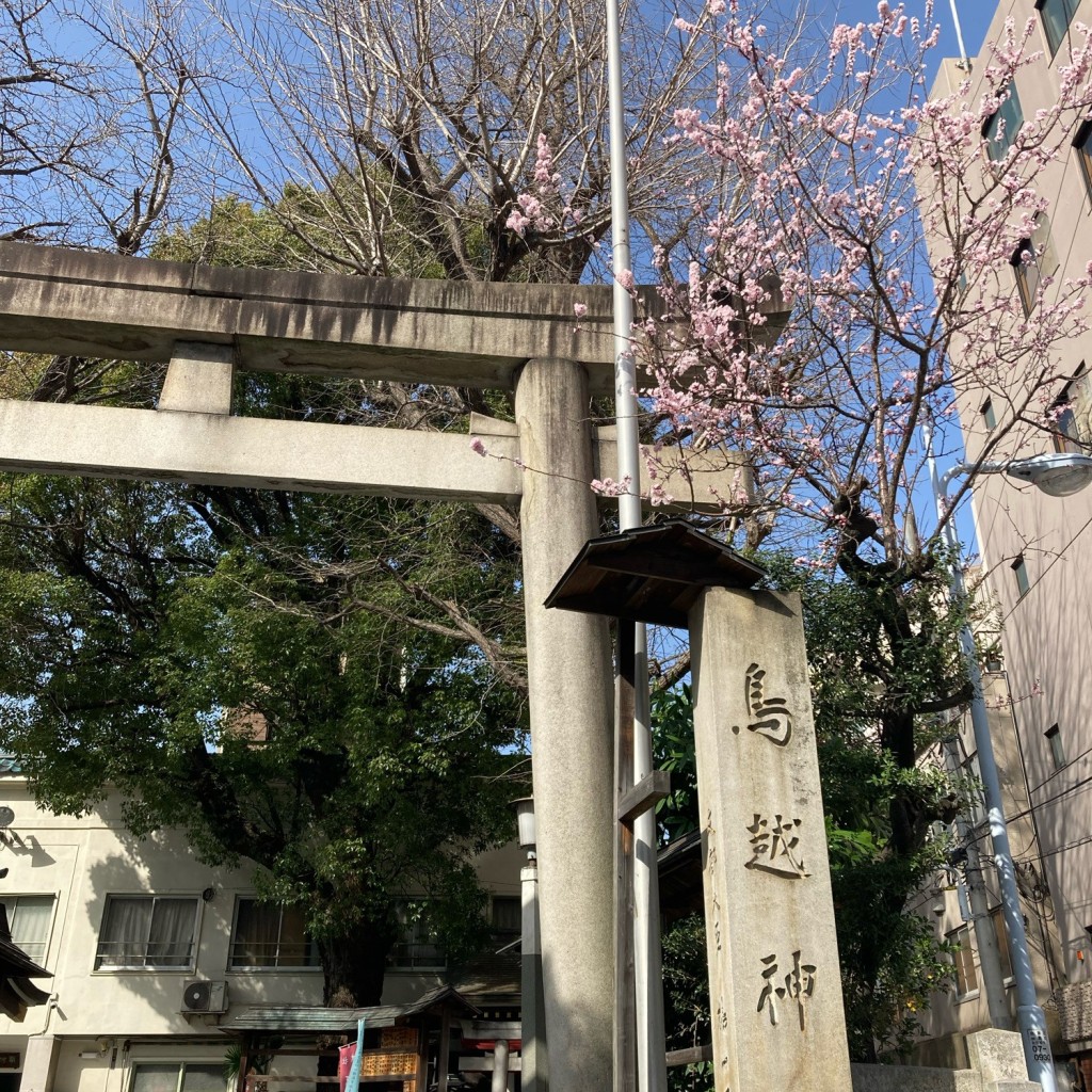 sarafinaさんが投稿した鳥越神社のお店鳥越神社/トリゴエジンジャの写真