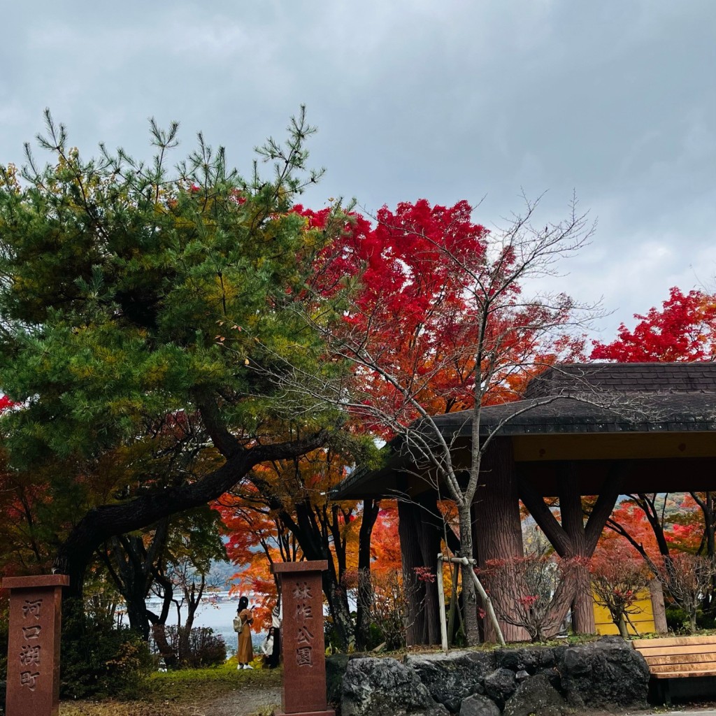 あるる38さんが投稿した浅川公園のお店林作公園の写真