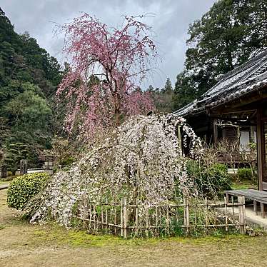 実際訪問したユーザーが直接撮影して投稿した室生大野寺大野寺の写真