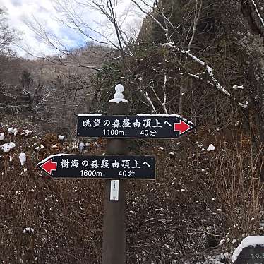 ミルクティーとキャラメル珈琲さんが投稿した杉目山 / 峠のお店鹿狼山/カロウサンの写真