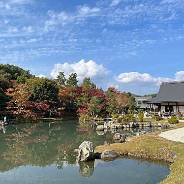 天龍寺のundefinedに実際訪問訪問したユーザーunknownさんが新しく投稿した新着口コミの写真