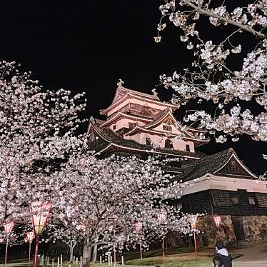 松江城のundefinedに実際訪問訪問したユーザーunknownさんが新しく投稿した新着口コミの写真