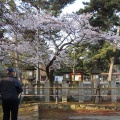 実際訪問したユーザーが直接撮影して投稿した春日野町神社氷室神社の写真