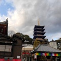 実際訪問したユーザーが直接撮影して投稿した中山寺寺中山寺の写真