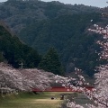 実際訪問したユーザーが直接撮影して投稿した南濃町羽沢公園羽根谷だんだん公園の写真