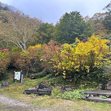 実際訪問したユーザーが直接撮影して投稿した大所日帰り温泉蓮華温泉の写真