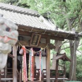 実際訪問したユーザーが直接撮影して投稿した弁天神社厳島神社の写真