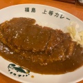 とんかつカレー - 実際訪問したユーザーが直接撮影して投稿した豊津町カレー福島上等カレー 江坂店の写真のメニュー情報