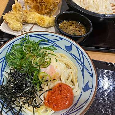 丸亀製麺 神戸ハーバーランドumie店のundefinedに実際訪問訪問したユーザーunknownさんが新しく投稿した新着口コミの写真