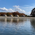 実際訪問したユーザーが直接撮影して投稿した高久丙遊園地 / テーマパーク那須高原りんどう湖ファミリー牧場の写真