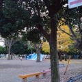 実際訪問したユーザーが直接撮影して投稿した東習志野公園若松公園の写真