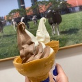 実際訪問したユーザーが直接撮影して投稿した金田東アイスクリームマザー牧場CAFE&SOFTCREAM 三井アウトレットパーク木更津店の写真