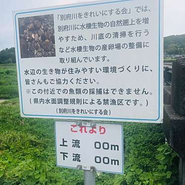 実際訪問したユーザーが直接撮影して投稿した河川別府川の写真