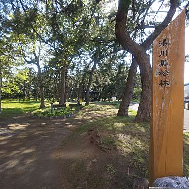 実際訪問したユーザーが直接撮影して投稿した湯川町公園湯川黒松林の写真