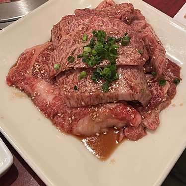 実際訪問したユーザーが直接撮影して投稿した気子島肉料理墨乃苑の写真