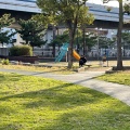 実際訪問したユーザーが直接撮影して投稿した波止場町公園みなと公園の写真