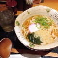 かけうどん - 実際訪問したユーザーが直接撮影して投稿した曽我うどん鶴々の写真のメニュー情報