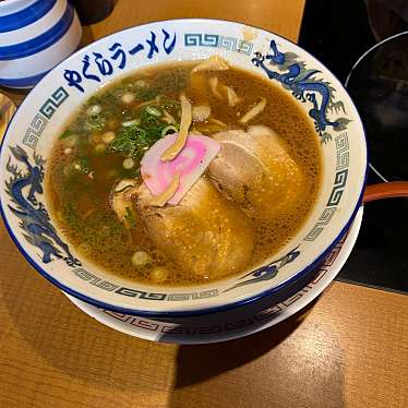 実際訪問したユーザーが直接撮影して投稿した中島ラーメン専門店こだわりのやぐらラーメン 岩出店の写真