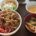 牛丼 ランチセット - 実際訪問したユーザーが直接撮影して投稿した浅田町牛丼すき家 153号日進赤池店の写真のメニュー情報