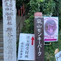 実際訪問したユーザーが直接撮影して投稿した嵐山中尾下町動物園嵐山モンキーパーク いわたやまの写真