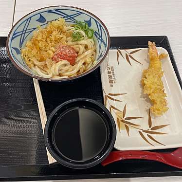 丸亀製麺 イオンモール浦和美園店のundefinedに実際訪問訪問したユーザーunknownさんが新しく投稿した新着口コミの写真