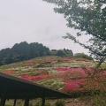 実際訪問したユーザーが直接撮影して投稿した和田公園小室山公園の写真