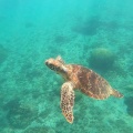 実際訪問したユーザーが直接撮影して投稿した島宮古島の写真