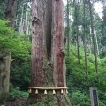 実際訪問したユーザーが直接撮影して投稿した入四間町神社御岩神社の写真