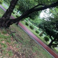 実際訪問したユーザーが直接撮影して投稿した小島公園熊谷さくら運動公園の写真