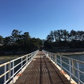 実際訪問したユーザーが直接撮影して投稿した一色町佐久島島佐久島の写真