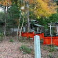 実際訪問したユーザーが直接撮影して投稿した嵯峨小倉山田淵山町神社御髪神社の写真