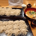 板そばと大きな親子丼 - 実際訪問したユーザーが直接撮影して投稿した松枝そば板そば 喜右衛門の写真のメニュー情報