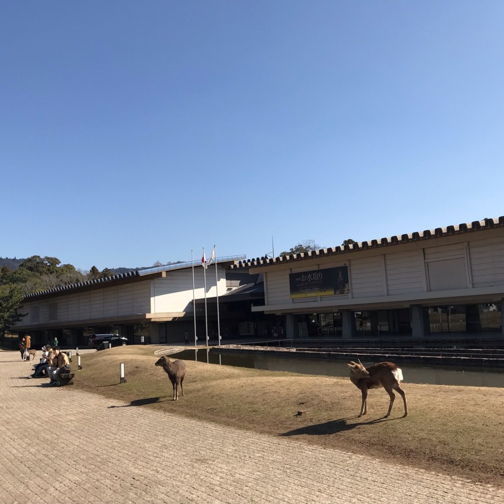 実際訪問したユーザーが直接撮影して投稿した登大路町ギフトショップ / おみやげ奈良国立博物館ミュージアムショップの写真