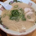 実際訪問したユーザーが直接撮影して投稿した大橋ラーメン / つけ麺博多玉の写真