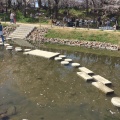 実際訪問したユーザーが直接撮影して投稿した康生町公園岡崎公園の写真