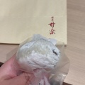 実際訪問したユーザーが直接撮影して投稿した銀座和菓子銀座甘楽 銀座本店の写真