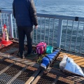 実際訪問したユーザーが直接撮影して投稿した大黒ふ頭釣り大黒海づり施設 横浜フィッシングピアーズの写真