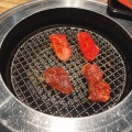 実際訪問したユーザーが直接撮影して投稿した青海焼肉焼肉 平城苑 ダイバーシティ東京プラザ店の写真