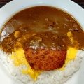 実際訪問したユーザーが直接撮影して投稿した梅田カレーカレーハウスCoCo壱番屋 大阪駅前第3ビル店の写真