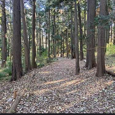 実際訪問したユーザーが直接撮影して投稿した深谷上公園長峰自然の森の写真