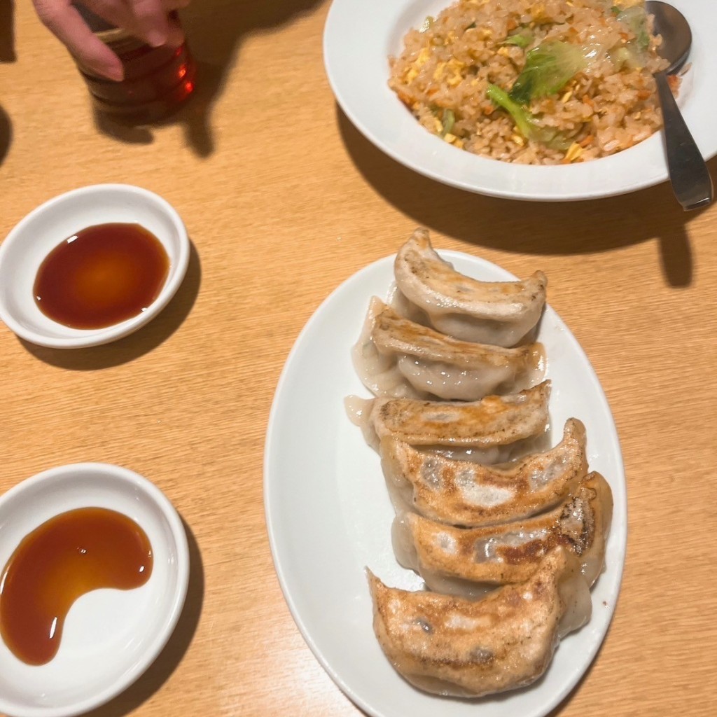 ユーザーが投稿した鶏皮餃子の写真 - 実際訪問したユーザーが直接撮影して投稿した姫島餃子餃子酒場 こぶくろの写真