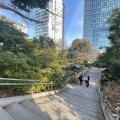 実際訪問したユーザーが直接撮影して投稿した神宮前神社東郷神社の写真