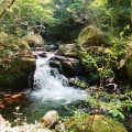 実際訪問したユーザーが直接撮影して投稿した岩屋町公園岩屋堂公園の写真